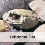 lebacher_eier